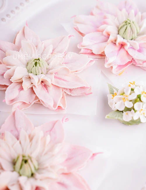 韩式裱花蛋糕培训